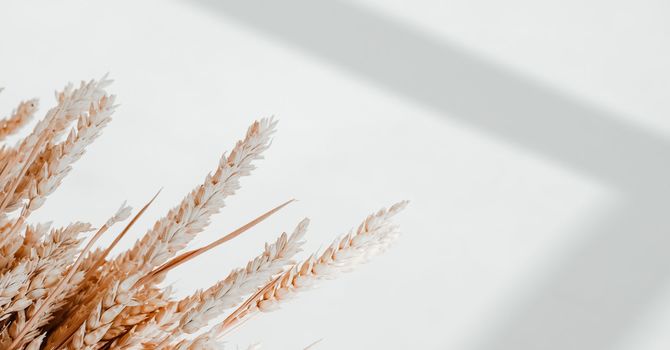 Micronutrient Injectables 